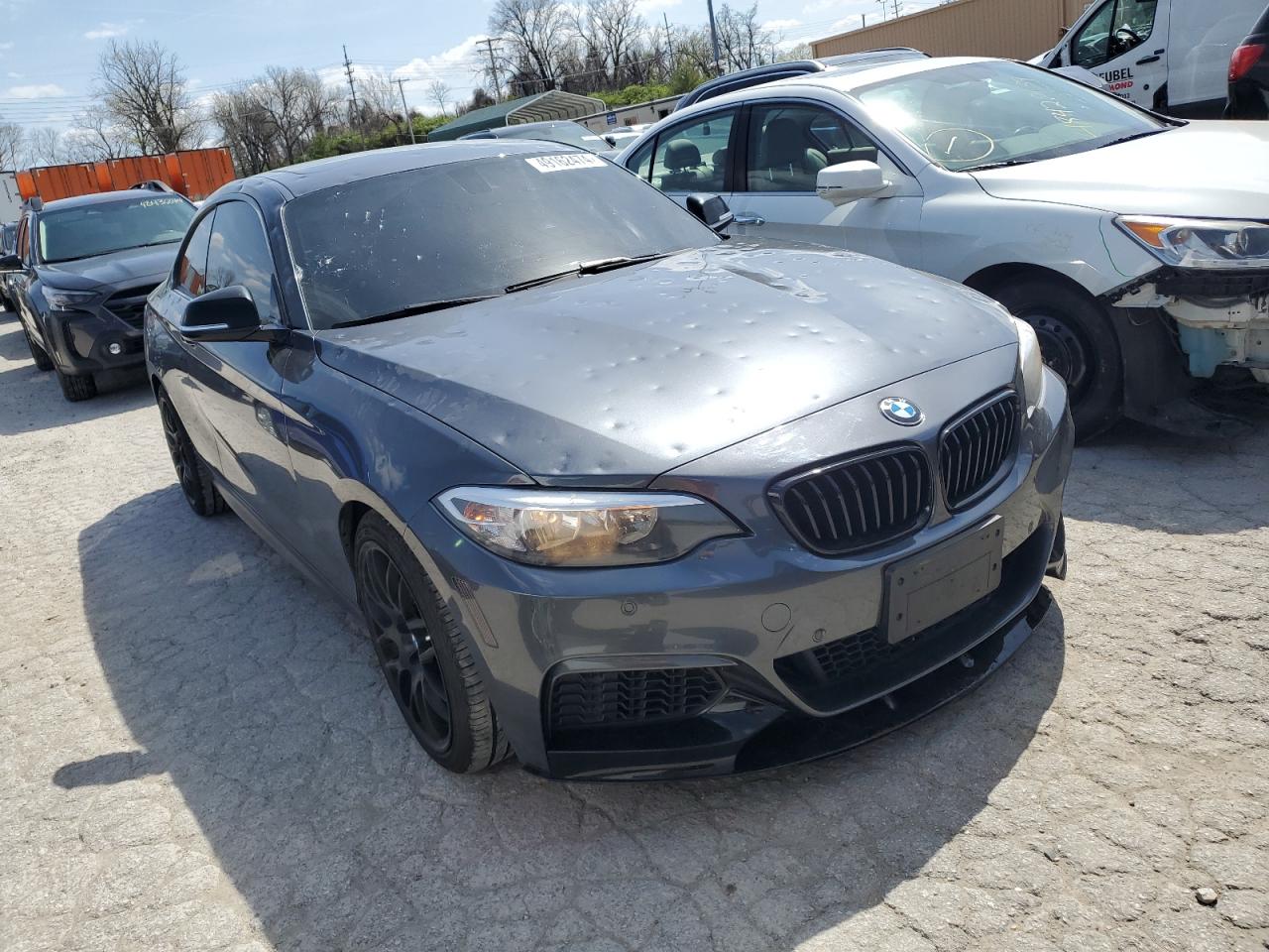 Photo 3 VIN: WBA1F5C57FV256779 - BMW 2ER 