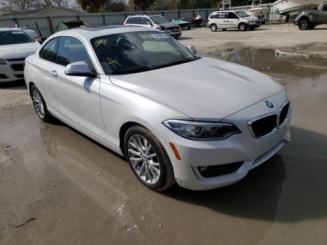 Photo 0 VIN: WBA1F5C58EV255798 - BMW 228 I 