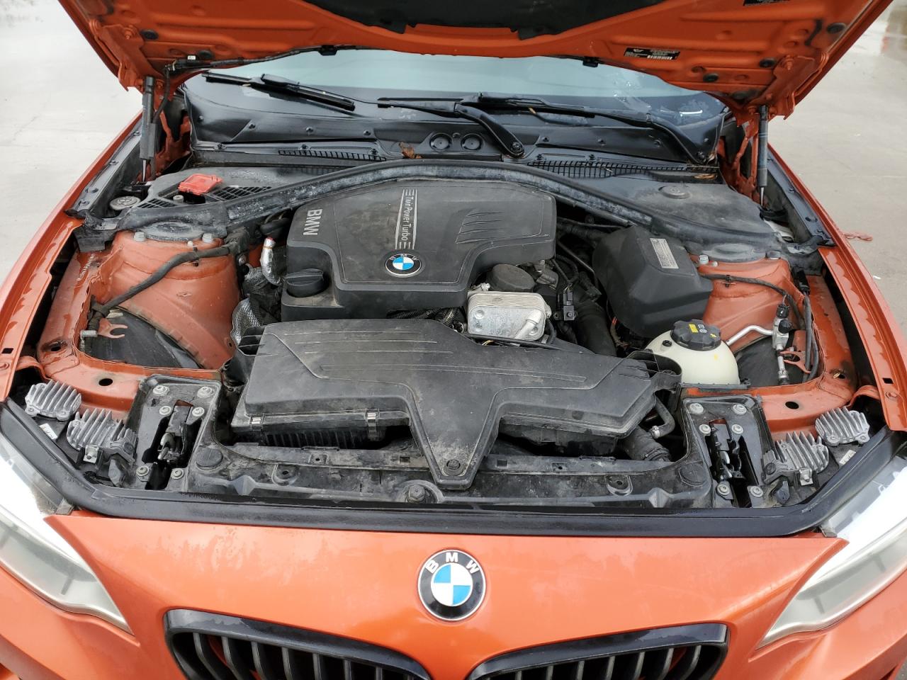 Photo 10 VIN: WBA1F5C59EV255633 - BMW 228 I 