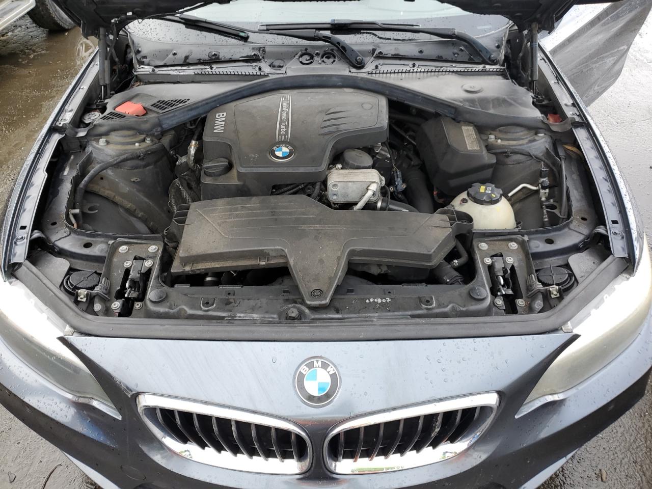 Photo 10 VIN: WBA1F5C5XFV256498 - BMW 2ER 