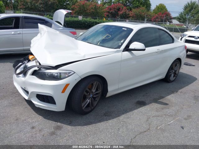 Photo 1 VIN: WBA1F5C5XFV257568 - BMW 228I 