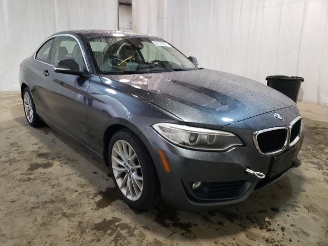 Photo 0 VIN: WBA1F7C5XFV367256 - BMW 228 XI 