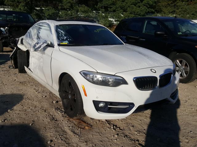 Photo 0 VIN: WBA1F7C5XFVX95621 - BMW 228 XI 