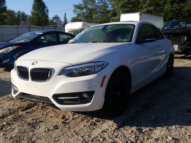 Photo 1 VIN: WBA1F7C5XFVX95621 - BMW 228 XI 