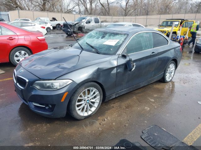 Photo 1 VIN: WBA1F9C50GV544300 - BMW 228I 