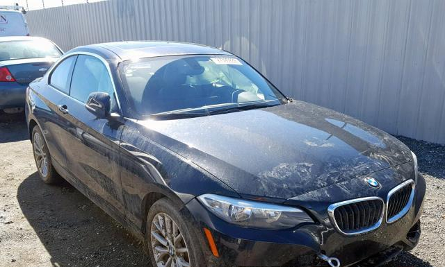 Photo 0 VIN: WBA1F9C50GV546581 - BMW 228 