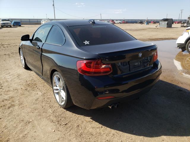 Photo 2 VIN: WBA1F9C51FV544093 - BMW 228 I SULE 