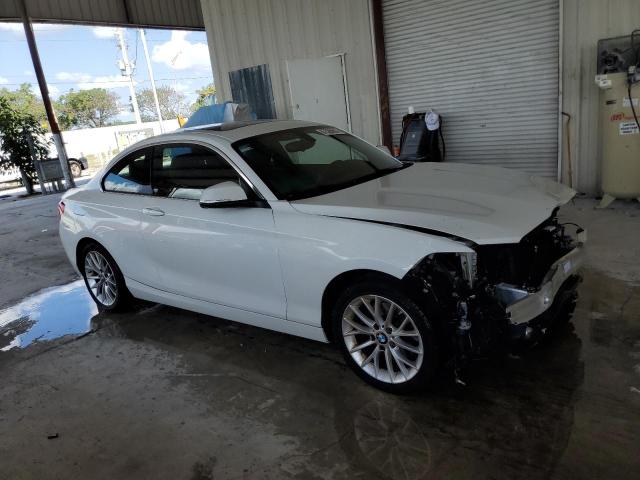 Photo 3 VIN: WBA1F9C52GV544752 - BMW 2 SERIES 