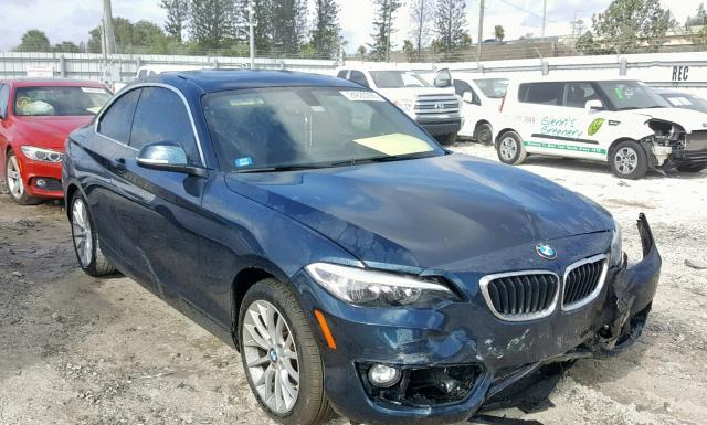 Photo 0 VIN: WBA1F9C53GV544954 - BMW 228 