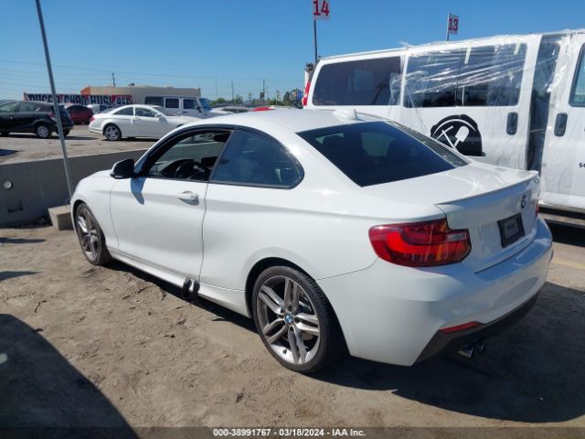 Photo 2 VIN: WBA1F9C54GV544655 - BMW 228I 