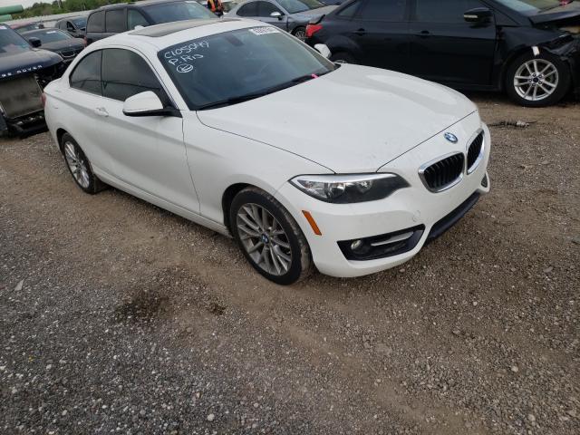 Photo 0 VIN: WBA1F9C54GV545272 - BMW 228 I SULE 