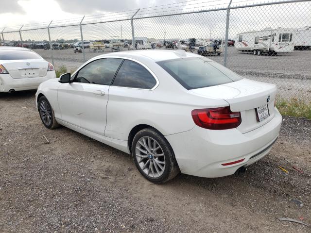 Photo 2 VIN: WBA1F9C54GV545272 - BMW 228 I SULE 