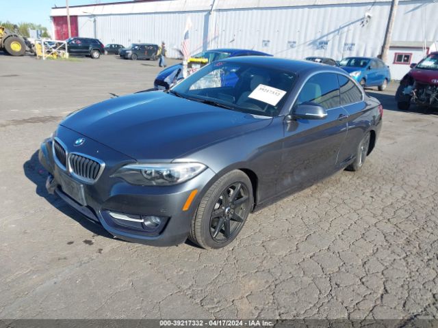 Photo 1 VIN: WBA1F9C55GV545586 - BMW 228I 