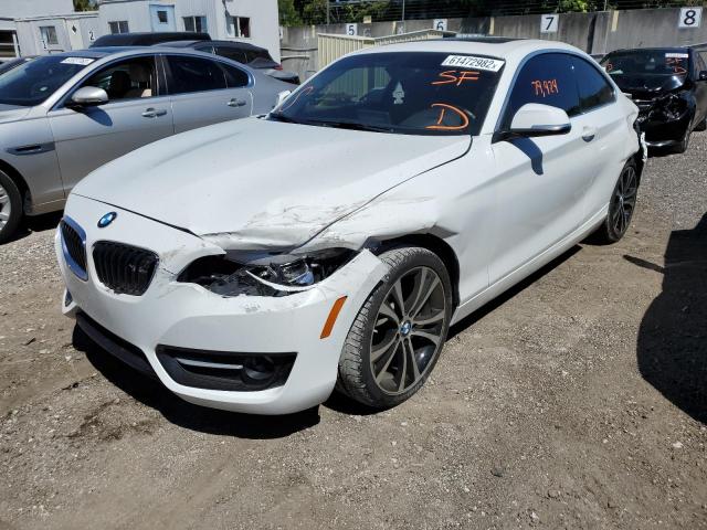 Photo 1 VIN: WBA1F9C55GV545748 - BMW 228 I SULE 