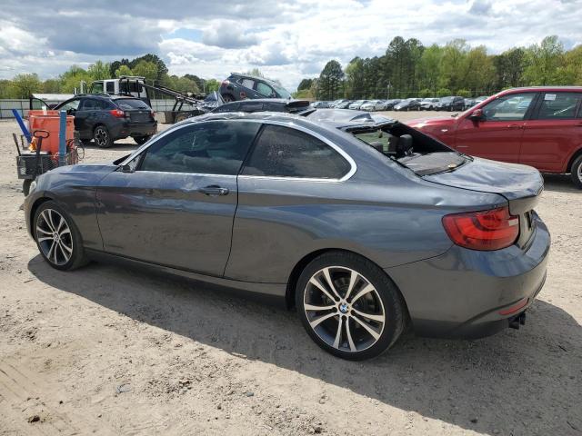 Photo 1 VIN: WBA1F9C58GV546070 - BMW 228 I SULE 