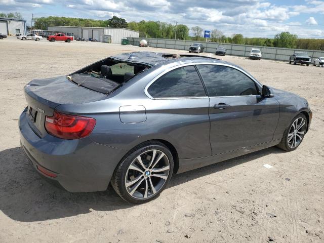 Photo 2 VIN: WBA1F9C58GV546070 - BMW 228 I SULE 