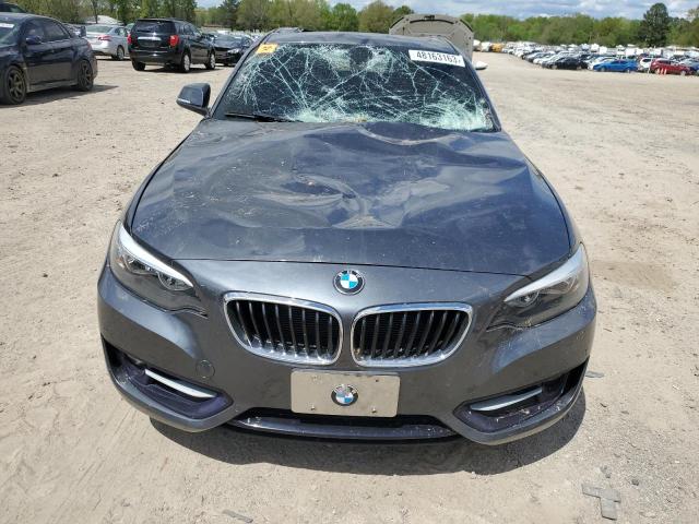 Photo 4 VIN: WBA1F9C58GV546070 - BMW 228 I SULE 