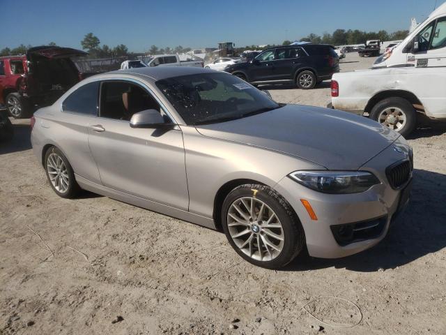 Photo 3 VIN: WBA1F9C59GV546370 - BMW 2 SERIES 