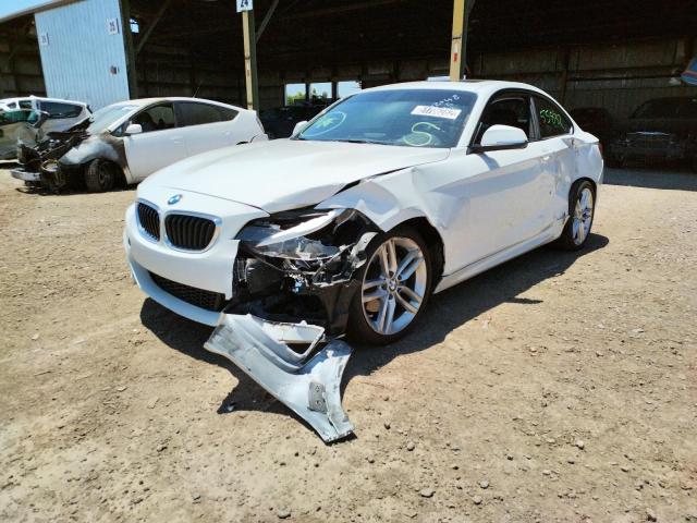 Photo 1 VIN: WBA1F9C59GV742048 - BMW 228 I SULE 