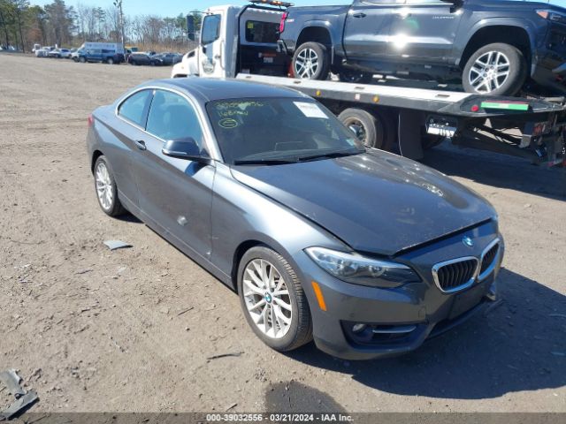 Photo 0 VIN: WBA1F9C5XGV546457 - BMW 228I 