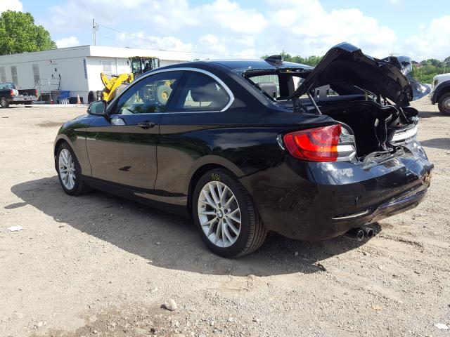 Photo 2 VIN: WBA1G9C51GV598525 - BMW 228 XI SUL 