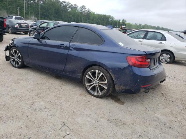 Photo 1 VIN: WBA1G9C51GV726634 - BMW 2 SERIES 