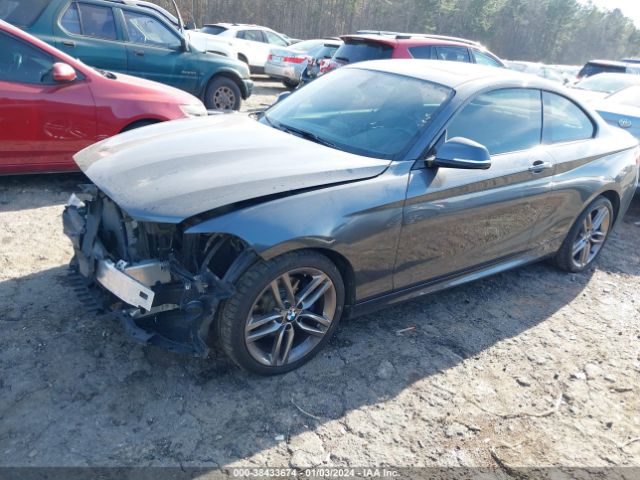 Photo 1 VIN: WBA1G9C52GV599098 - BMW 228I 