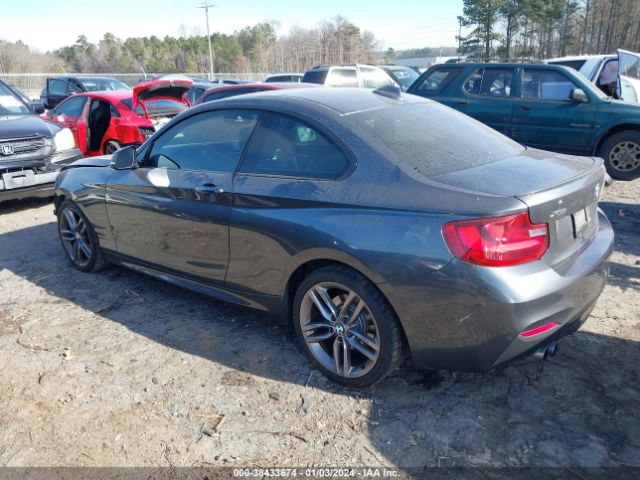 Photo 2 VIN: WBA1G9C52GV599098 - BMW 228I 