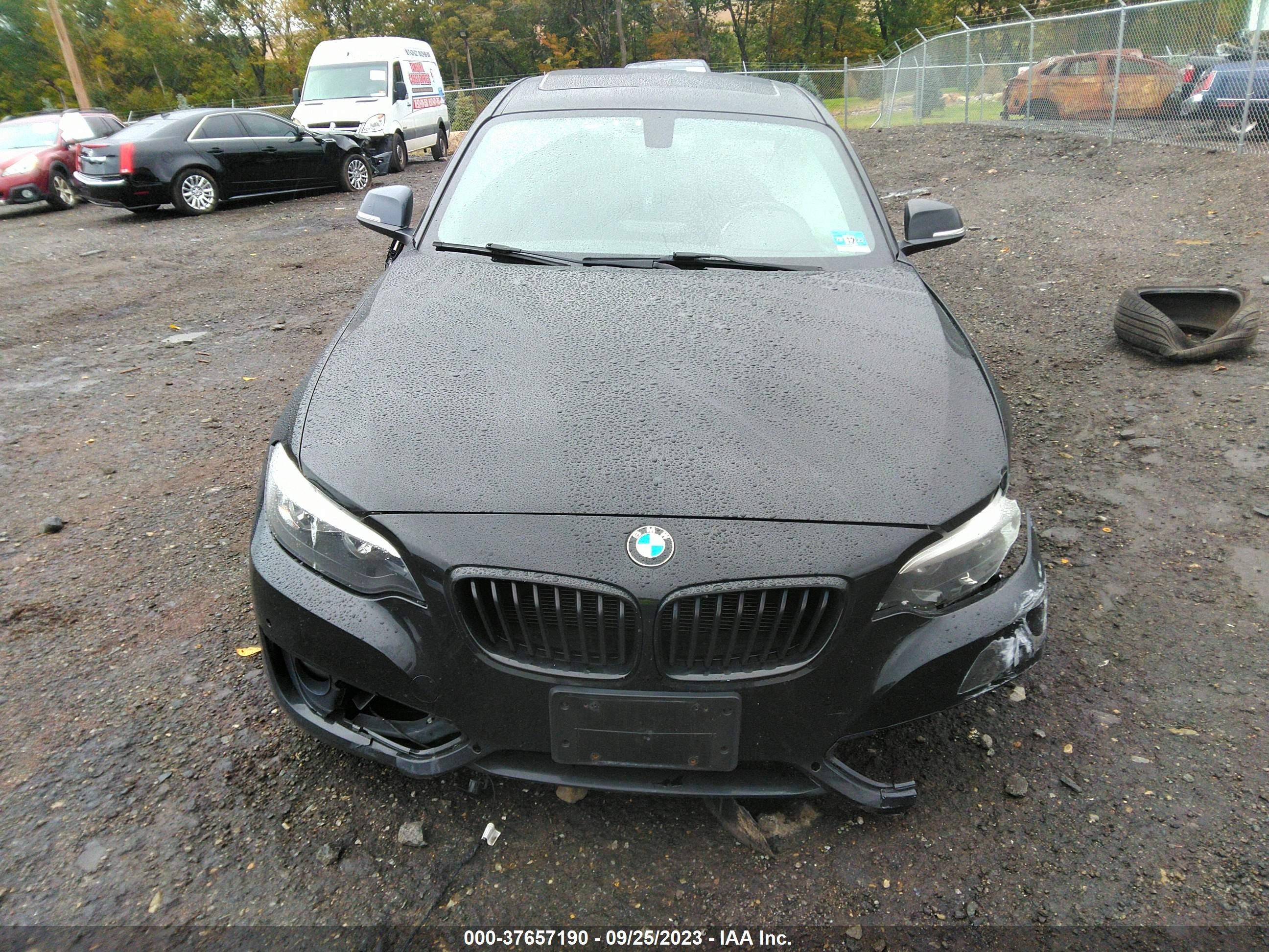 Photo 11 VIN: WBA1G9C57GV598867 - BMW 2ER 