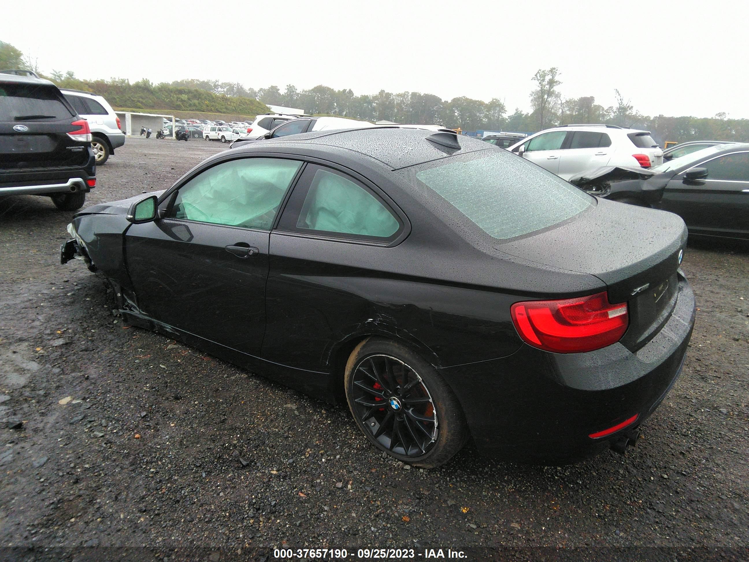 Photo 2 VIN: WBA1G9C57GV598867 - BMW 2ER 