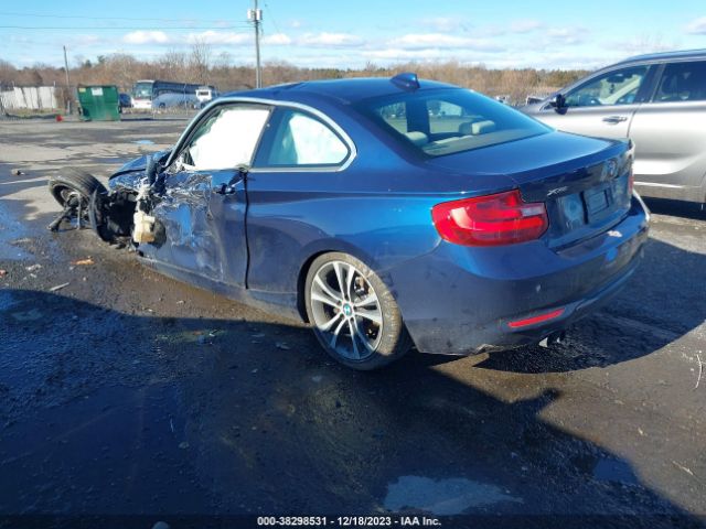 Photo 2 VIN: WBA1G9C58GV599509 - BMW 228I 