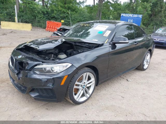 Photo 1 VIN: WBA1G9C58GV726775 - BMW 228I 