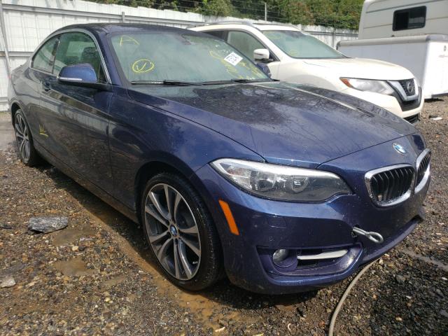 Photo 0 VIN: WBA1G9C59GV726137 - BMW 228 XI SUL 