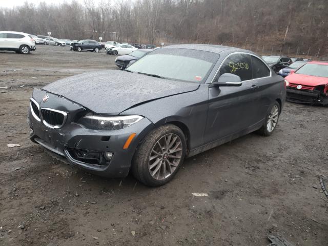 Photo 1 VIN: WBA1G9C59GVX96964 - BMW 228 XI SUL 