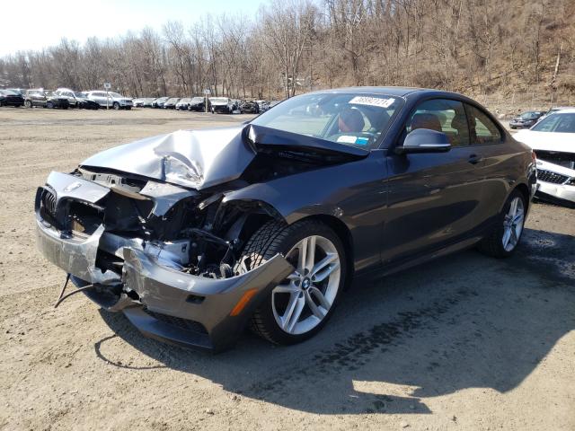 Photo 1 VIN: WBA1G9C5XGV599009 - BMW 228 