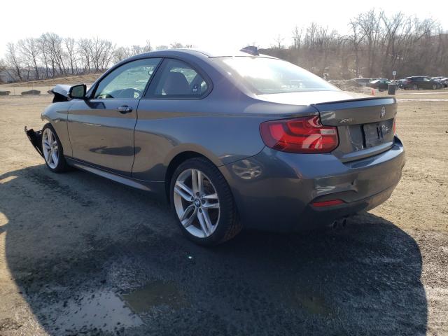 Photo 2 VIN: WBA1G9C5XGV599009 - BMW 228 