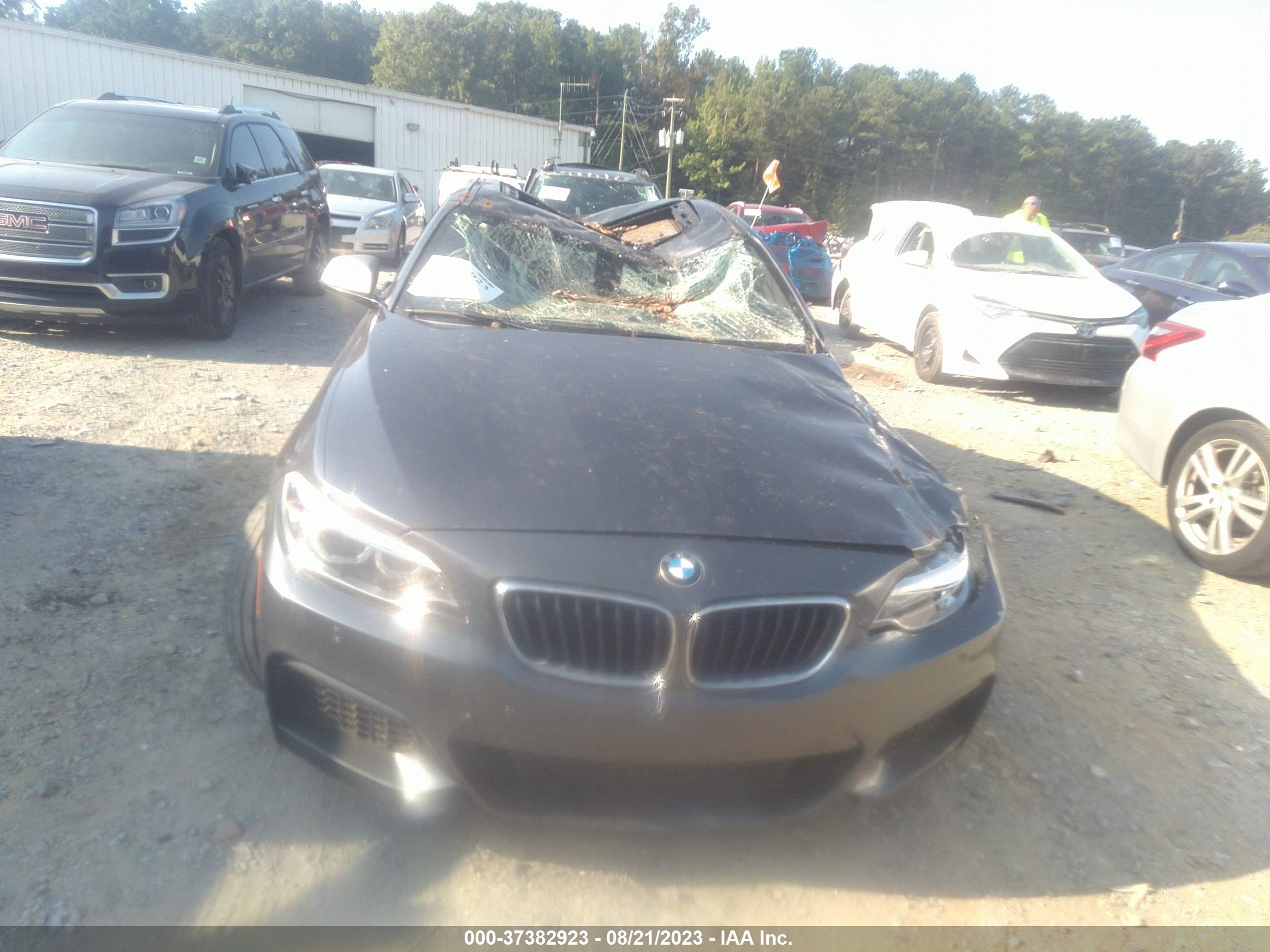 Photo 10 VIN: WBA1J7C53FV358154 - BMW 2ER 