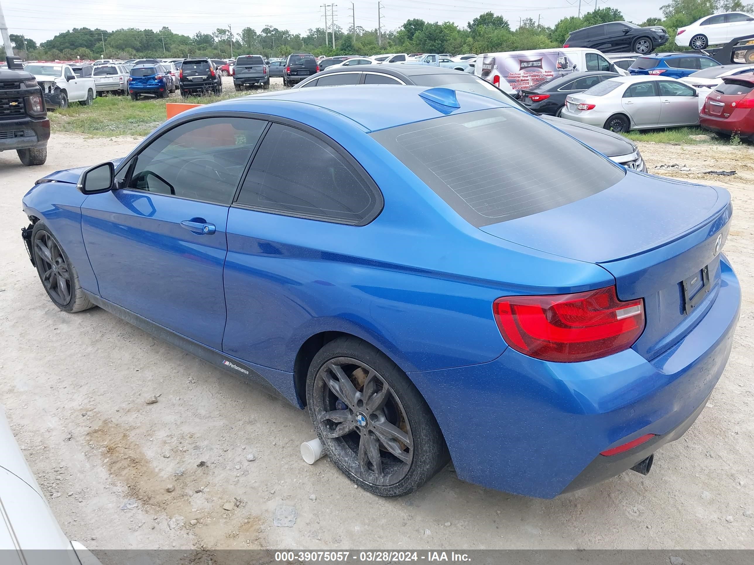 Photo 14 VIN: WBA1J7C53FV358879 - BMW 2ER 