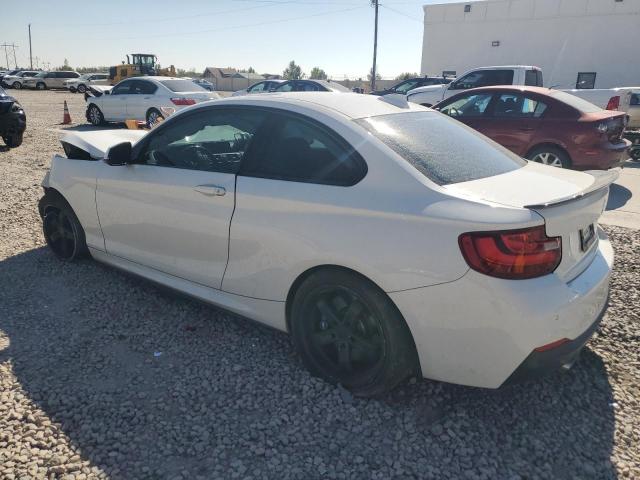 Photo 1 VIN: WBA1J7C54FV289460 - BMW M235I 