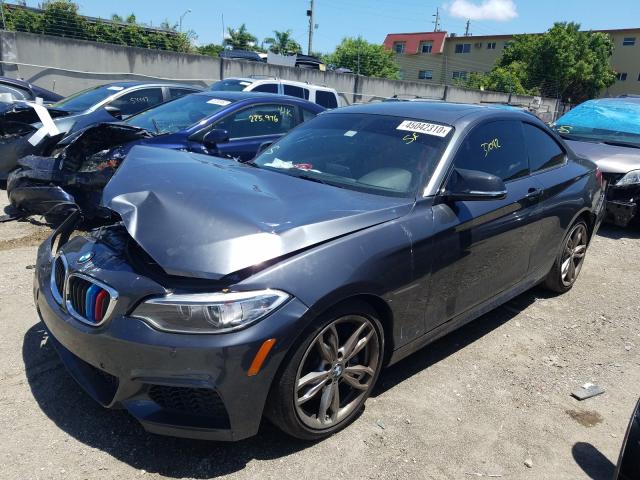 Photo 1 VIN: WBA1J7C55GV360859 - BMW 2 SERIES 