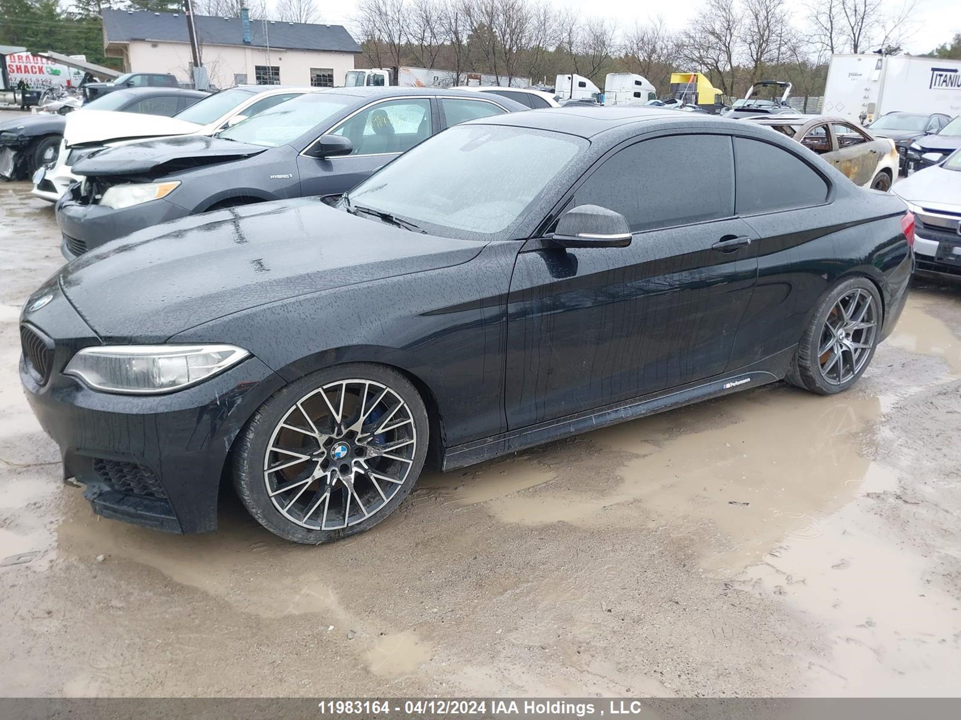 Photo 1 VIN: WBA1J7C56FV288746 - BMW 2ER 