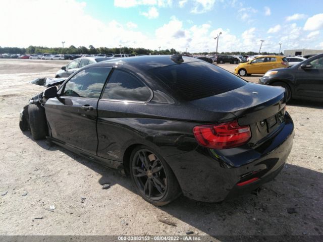 Photo 2 VIN: WBA1J7C56GV360174 - BMW 2 SERIES 