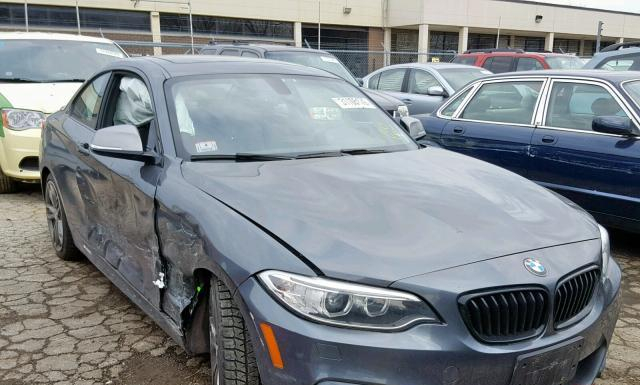 Photo 0 VIN: WBA1J7C59EV253293 - BMW M235I 