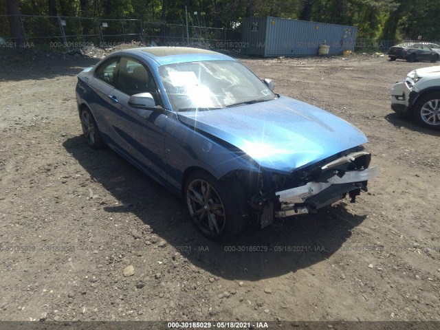 Photo 0 VIN: WBA1J9C52GV696254 - BMW 2 