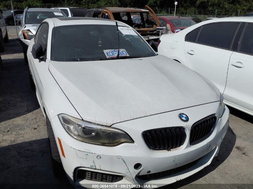 Photo 11 VIN: WBA1J9C58FVX98737 - BMW 2ER 