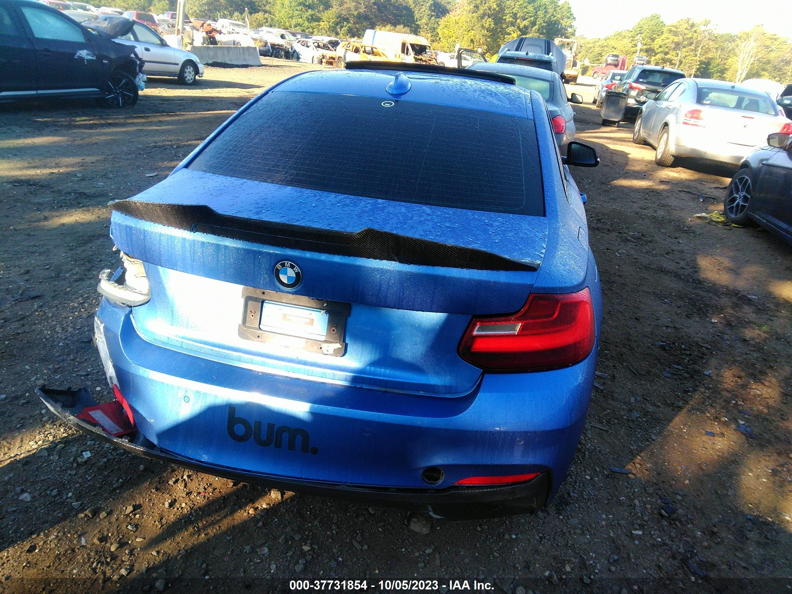 Photo 15 VIN: WBA1J9C5XFVX98660 - BMW 2ER 