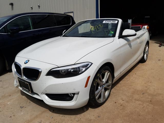 Photo 1 VIN: WBA1K5C51FV473868 - BMW 228 I 