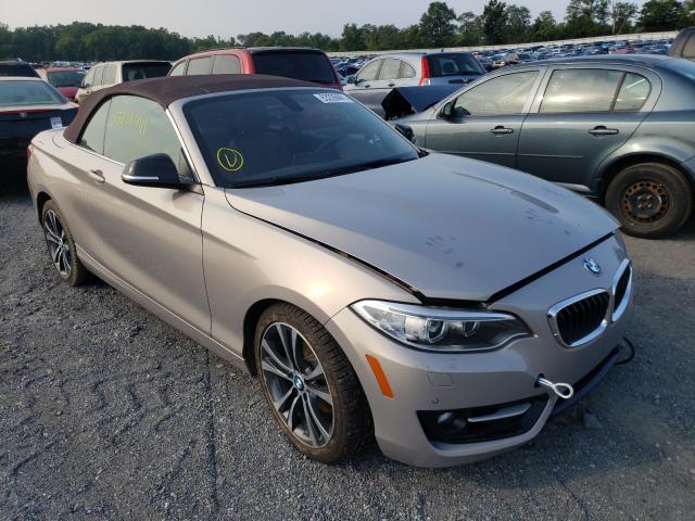 Photo 0 VIN: WBA1K7C57FV473269 - BMW 228 XI 