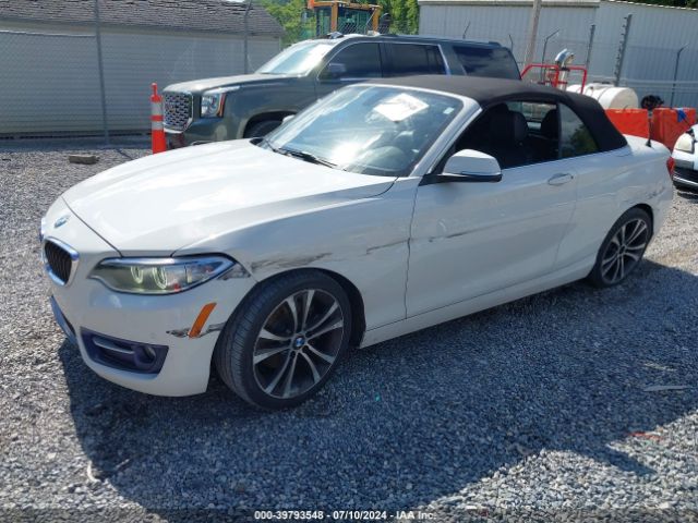 Photo 1 VIN: WBA1K9C53GV321664 - BMW 228I 