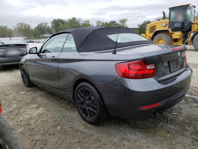 Photo 1 VIN: WBA1K9C55GV321715 - BMW 2 SERIES 